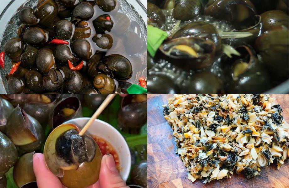 Cách sơ chế ốc sạch